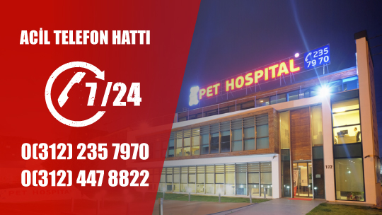 pet-hospital-01